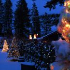  Christmas Lights /    